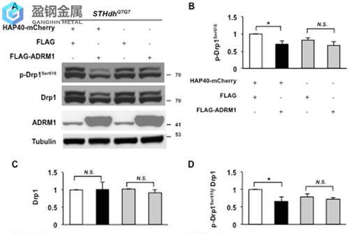  HAP40多少钱一公斤